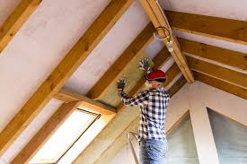 Best Spray Foam Insulation  in Van, TX